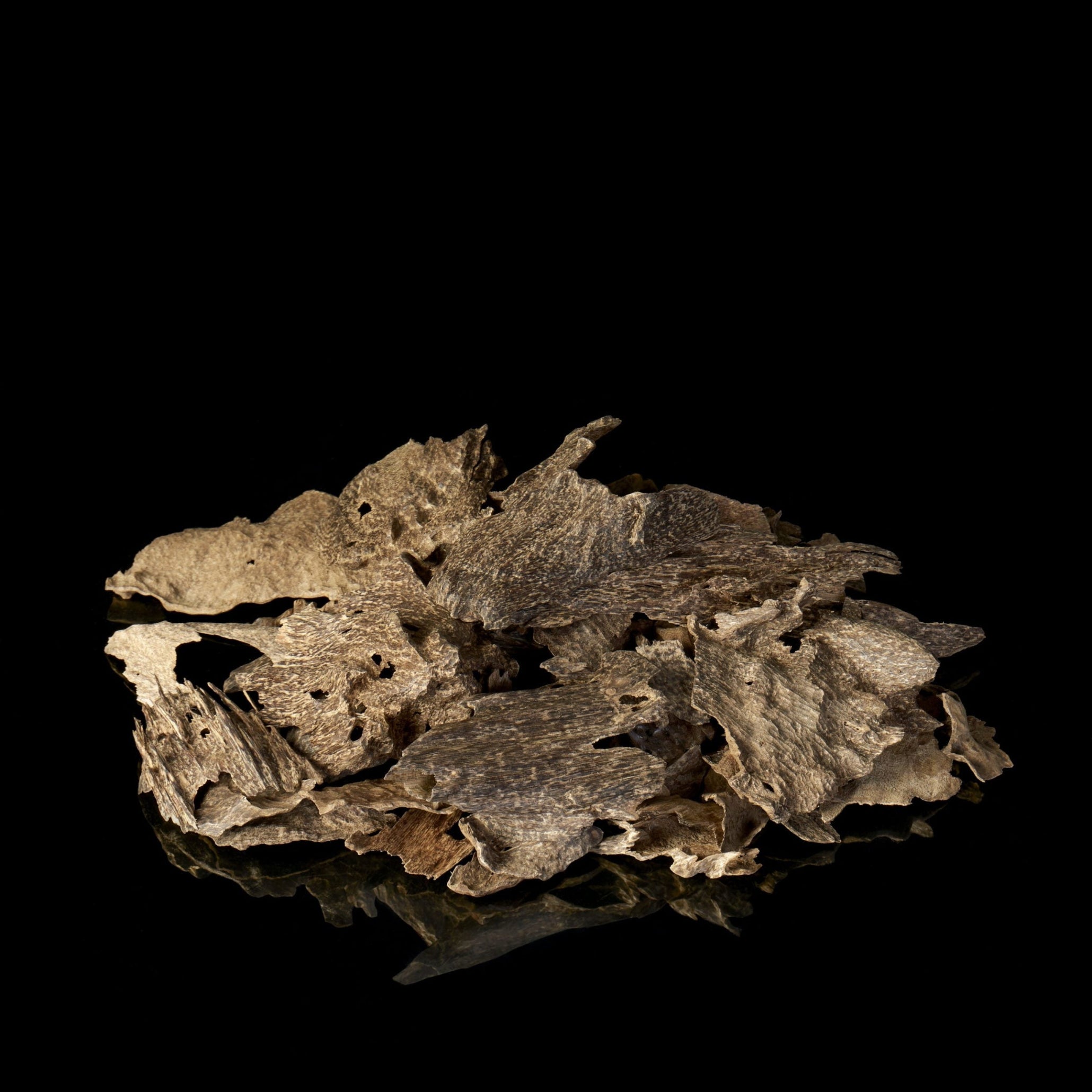 K190 | Cambodian Crassna Natural Agarwood