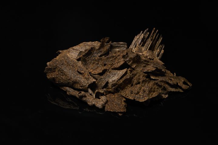 K700 | Cambodian Crassna Natural Agarwood