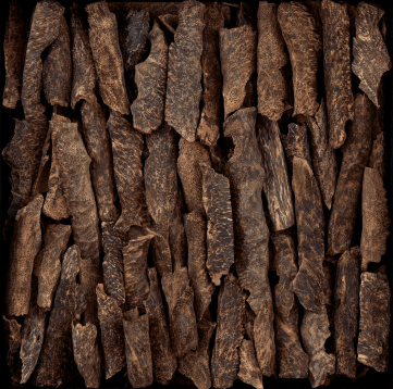 Close-up of Trat Muri natural agarwood showcasing dark resin veins and golden-brown texture under warm light.