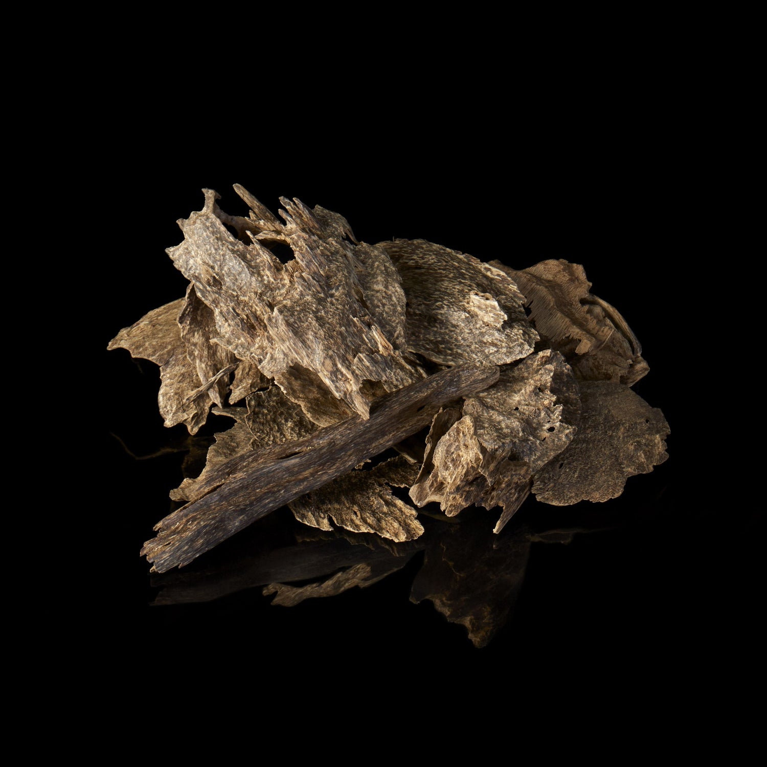 Natural Cambodian agarwood piece K300 featuring dark resin veins and deep woody tones under warm ambient lighting.