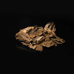 Close-up of K700 premium Cambodian Crassna agarwood with high resin content and deep brown-black tones glowing under soft light.