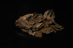 Close-up of K700 premium Cambodian Crassna agarwood with high resin content and deep brown-black tones glowing under soft light.